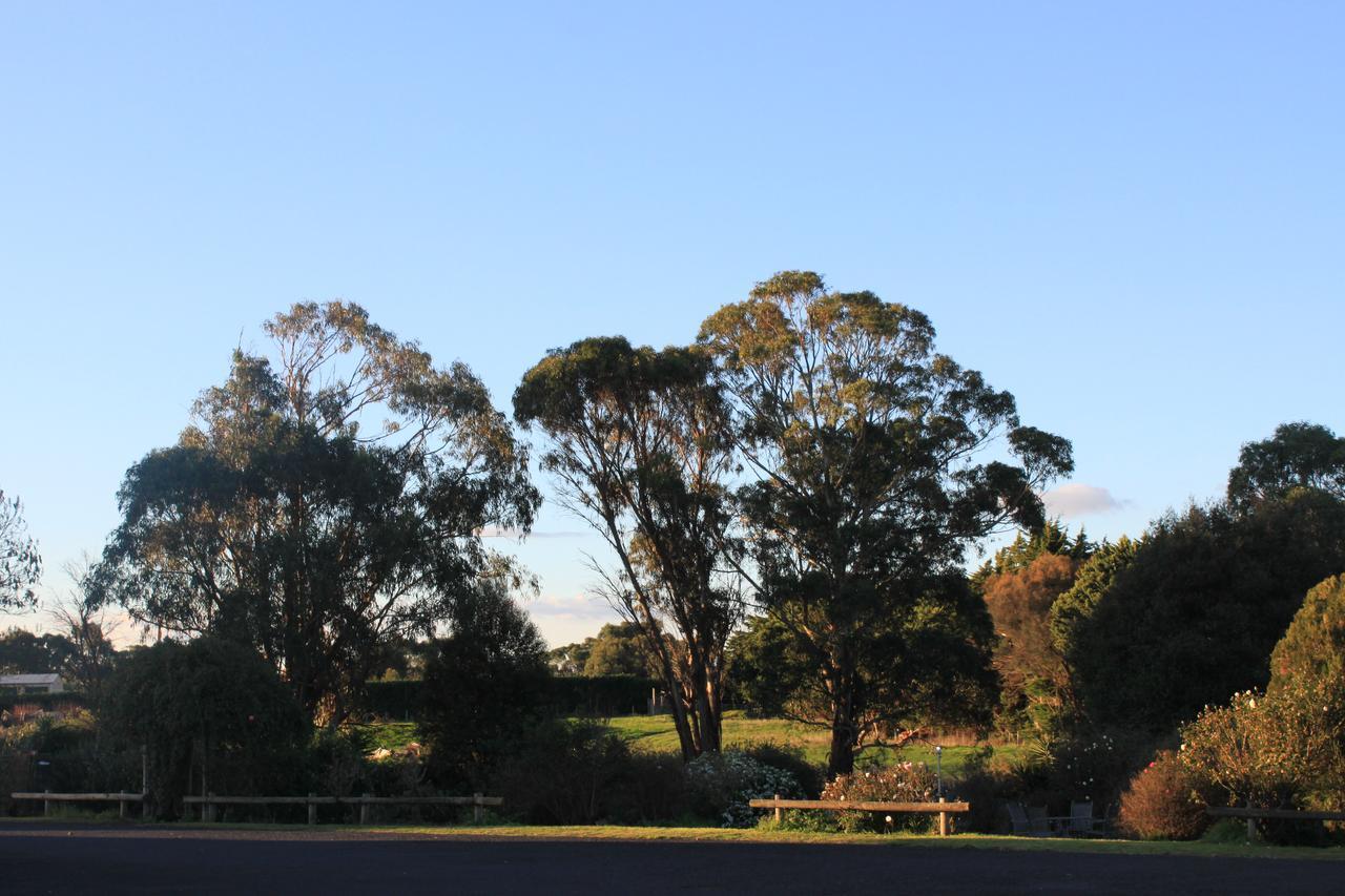 Motel Mt Gambier International Mount Gambier Exteriér fotografie